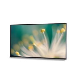 EliteBoard LK-55UL1SN - Профессиональный дисплей для систем Digital Signage