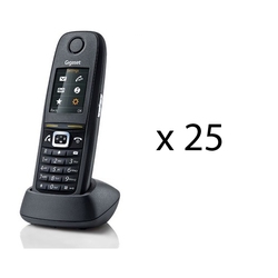 Gigaset 25HR630 - Комплект из 25 DECT-телефонов