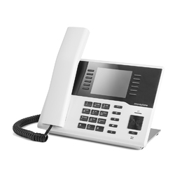 Innovaphone IP222 White - IP-телефон, H323, USB, Ethernet, RJ45, POE