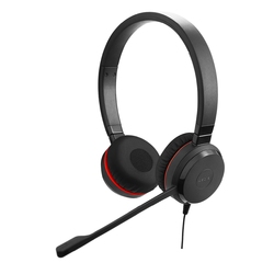 Jabra Evolve 20 SE - USB-C/A MS Stereo [4999-823-369] - Гарнитура