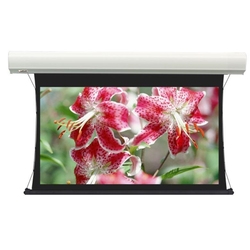 Lumien Cinema Tensioned Control 207x354 см Matte White - Экран с электроприводом