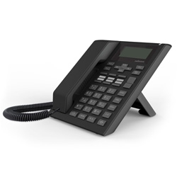 Moimstone IP325 - IP-телефон, WAN, LAN