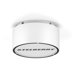 STELBERRY F-251W - Белый потолочно-настенный громкоговоритель