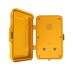 Termit PublicPhone WHF100K2-3G - Всепогодное 3G переговорное устройство
