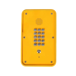 Termit PublicPhone WHF101FK-AT - Всепогодное переговорное устройство