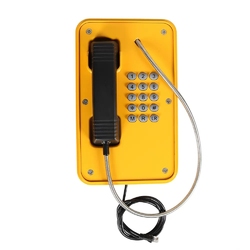 Termit PublicPhone WHS101FK-4G - Всепогодный телефон