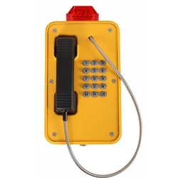 Termit PublicPhone WHS101FK.B-AT - Всепогодный телефон