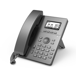 W&T-E10 - IP-телефон