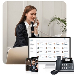 Yeastar P520 HMM - Лицензия