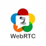 AVer WebRTC License [040DV2B1-ABC]