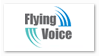 Flying Voice
